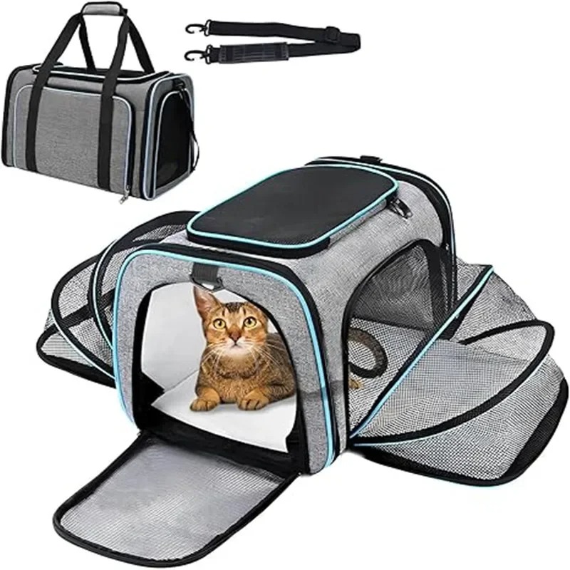 휴대용 통기성 접이식 고양이 및 소형견 애완동물 이동  - Foldable Backpack Small 리뷰 및 가격