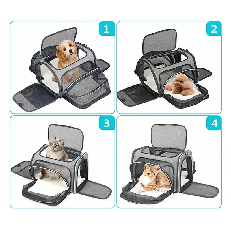 휴대용 통기성 접이식 고양이 및 소형견 애완동물 이동  - Foldable Backpack Small 리뷰 및 가격